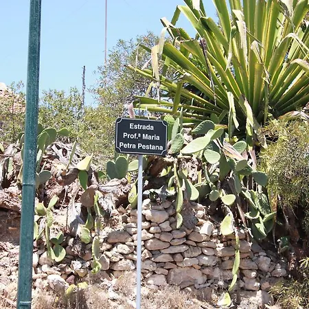 Casa Na Ilha I